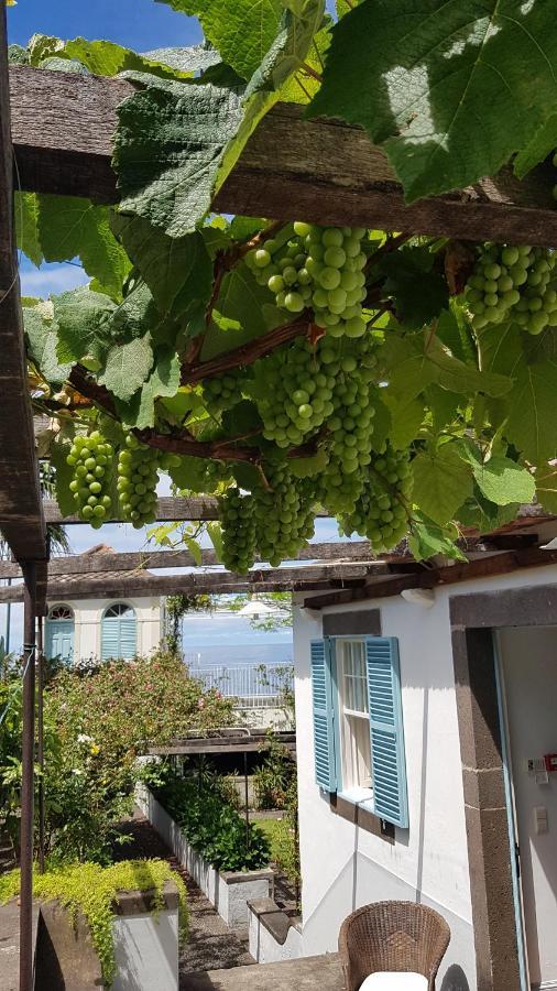 Casa Da Madalena Do Mar别墅 外观 照片