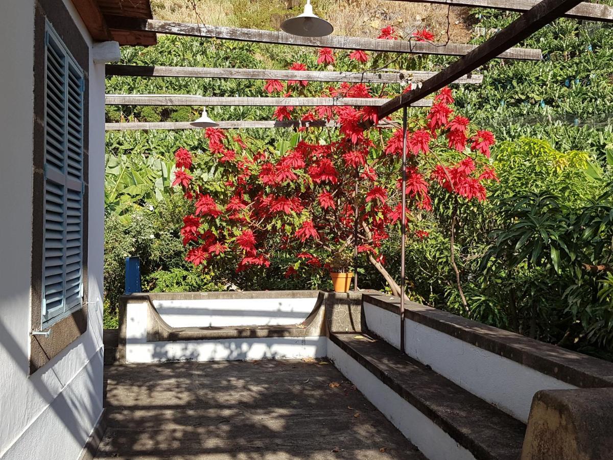 Casa Da Madalena Do Mar别墅 外观 照片
