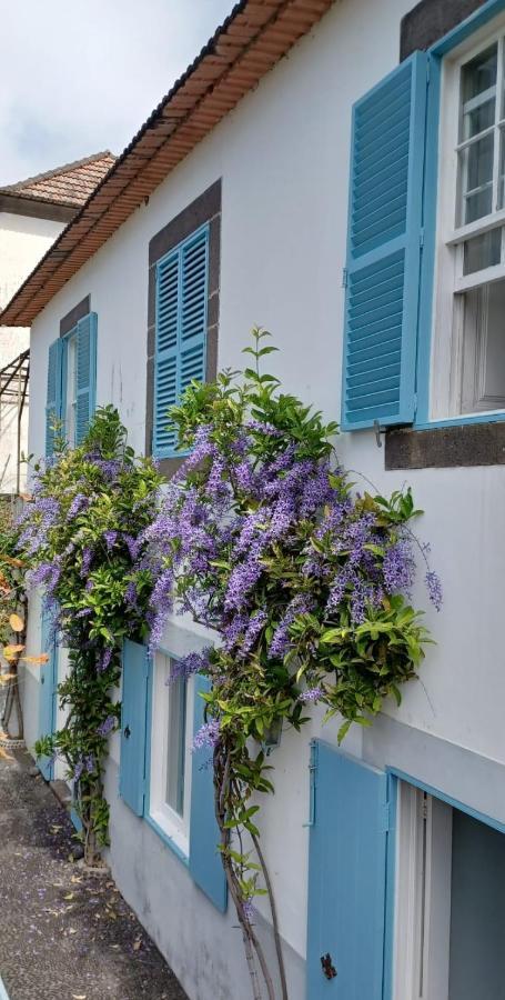 Casa Da Madalena Do Mar别墅 外观 照片