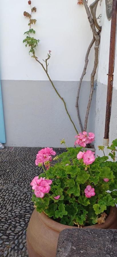 Casa Da Madalena Do Mar别墅 外观 照片