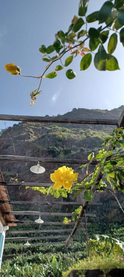 Casa Da Madalena Do Mar别墅 外观 照片