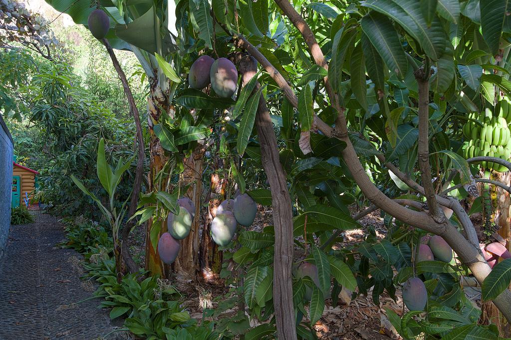 Casa Da Madalena Do Mar别墅 外观 照片