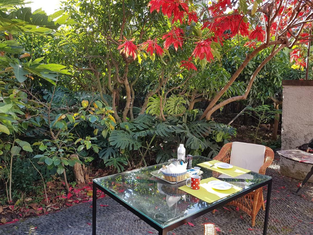 Casa Da Madalena Do Mar别墅 外观 照片